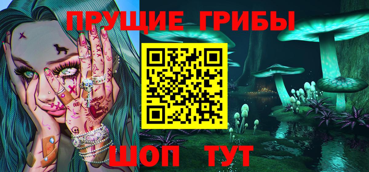 Галлюциногенные грибы Cubensis Александров