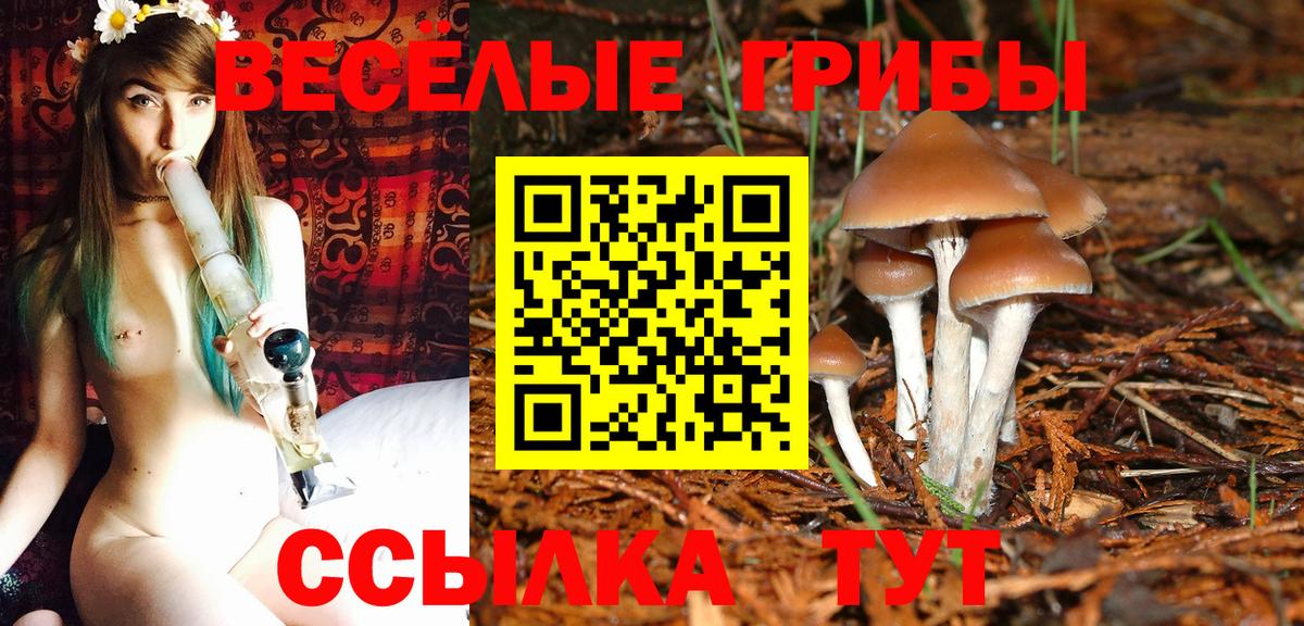Галлюциногенные грибы Cubensis  Вход с VPN  Галлюциногенные грибы GOLDEN TEACHER  Александров 